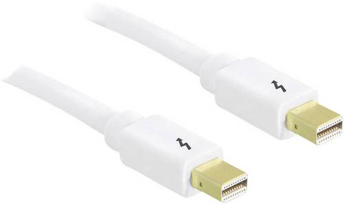 Delock Thunderbolt Anschlusskabel 3.00m Weiß [1x Thunderbolt 2-Stecker - 1x Thunderbolt 2-Stecker]