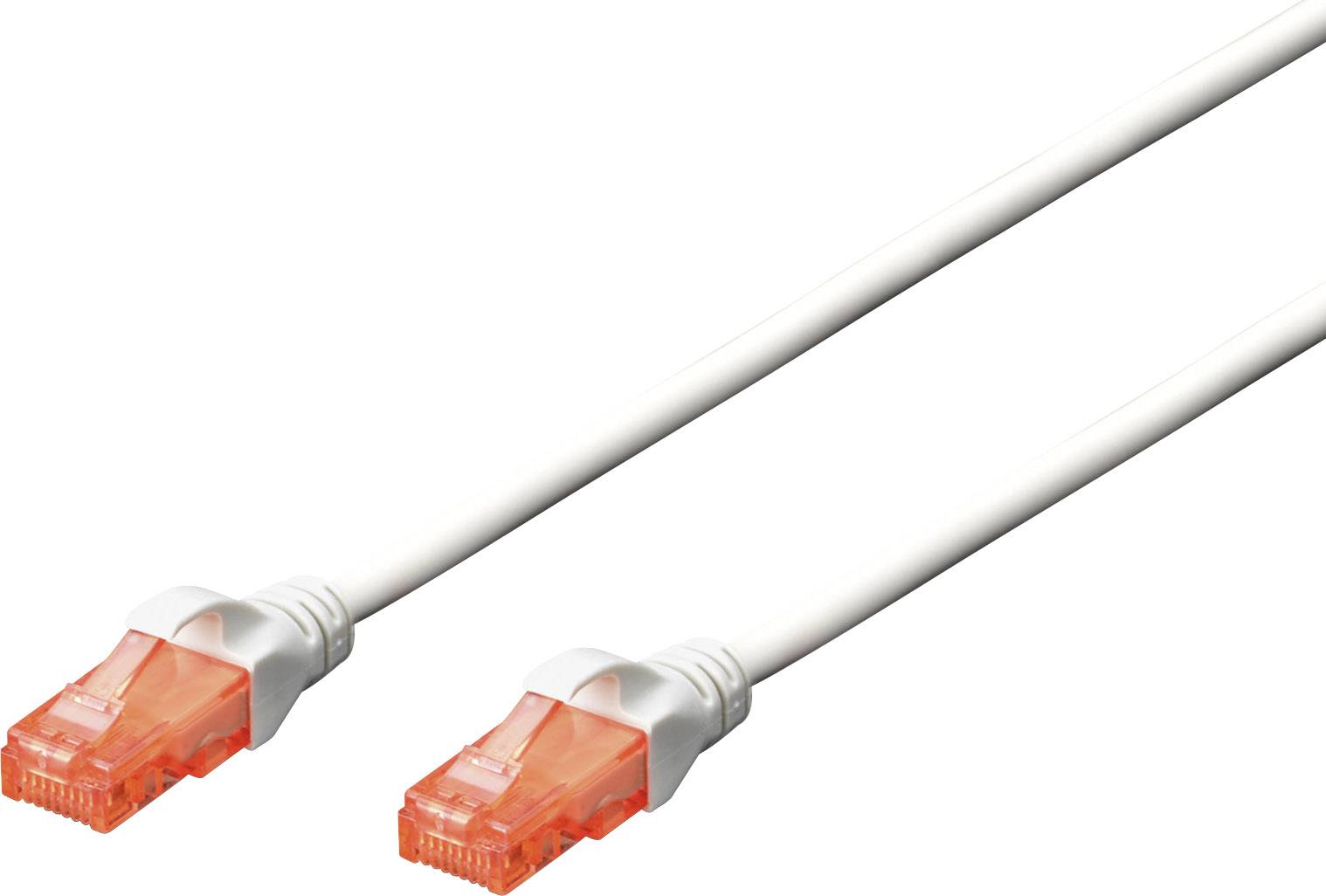 Zwei weiße Ethernet-Kabel mit orangefarbenen Steckern liegen nebeneinander.
