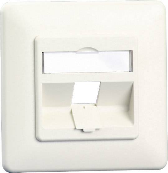 BTR CAT 6A RAL 1013 UP-NETZWERKDOSE 1X