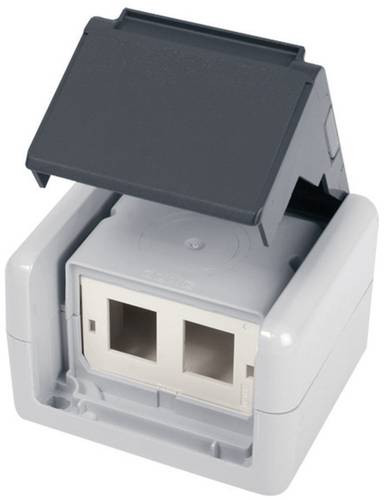 Netzwerkdose Aufputz CAT 5e, CAT 6, CAT 6a Grau