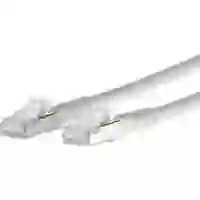 Metz Connect 1308451088-E RJ45 Netzwerkkabel, Patchkabel CAT 6a S/FTP 1.00m Weiß mit Rastnasenschutz 1St. Metz Connect 1308451088-E RJ45 Netzwerkkabel, Patchkabel CAT 6a S/FTP 1.00m Weiß mit Rastnasenschutz 1St.