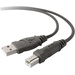 Belkin USB-Kabel USB 2.0 USB-A Stecker, USB-B Stecker 3.00m Schwarz F3U133R3M