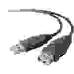 Belkin USB-Kabel USB 2.0 USB-A Stecker, USB-A Buchse 1.80m Schwarz F3U134R1.8M