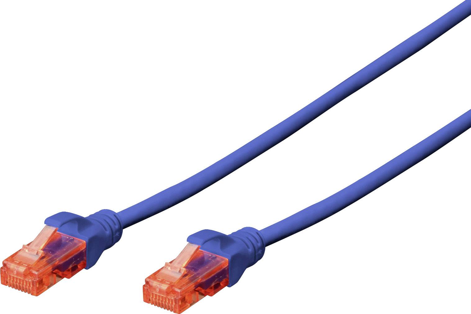 Zwei blaue Netzwerkkabel mit orangefarbenen Steckern liegen nebeneinander und sind bereit für den Anschluss an Geräte oder Netzwerkports.