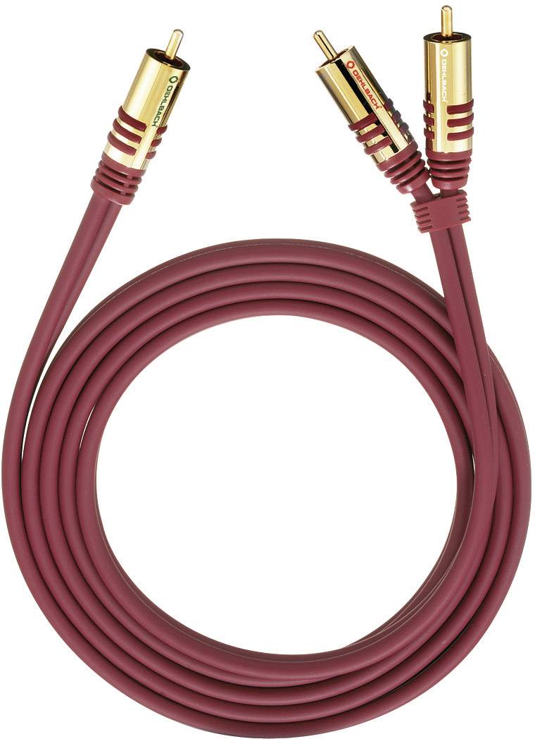 Rot-goldenes Cinch-Kabel, zweimal gewickelt. Verwendet für die Audioübertragung zwischen Geräten wie Verstärkern und Lautsprechern.