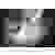 Oehlbach Klinke Audio Anschlusskabel [1x Klinkenstecker 3.5mm - 1x Klinkenstecker 3.5 mm] 1.50m Schwarz vergoldete Steckkontakte
