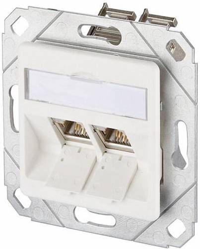 Netzwerkdose Unterputz Einsatz mit Zentralplatte CAT 6 2 Port Reinweiß