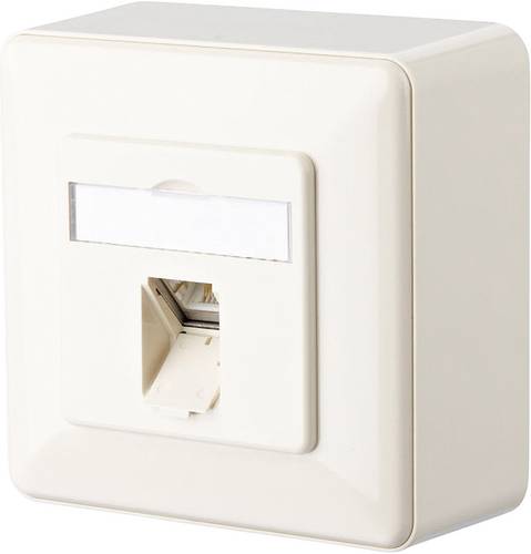 Netzwerkdose Aufputz CAT 6 1 Port Perlweiß