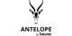 ANTELOPE