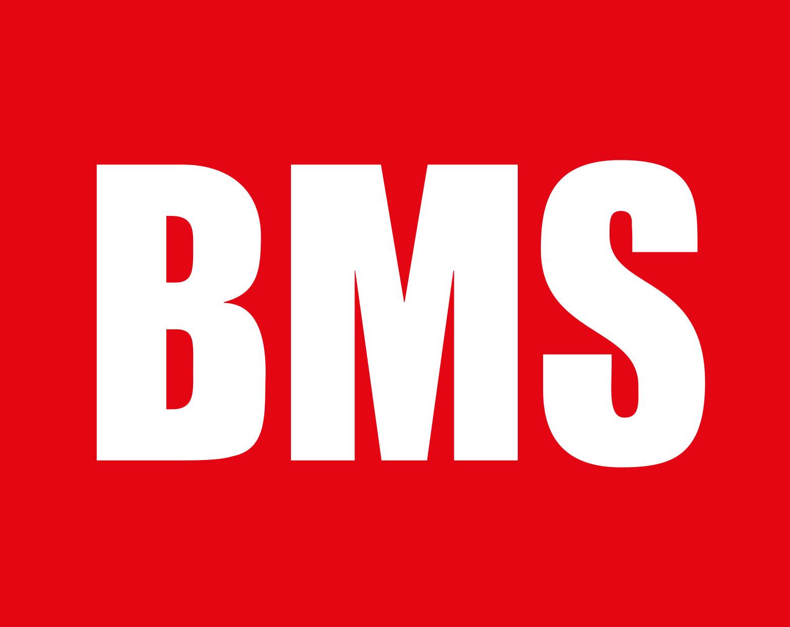 Hersteller: BMS