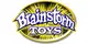 Hersteller: BRAINSTORM Hersteller: BRAINSTORM