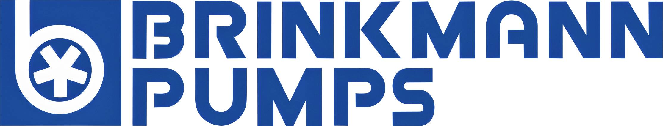 Brinkmann pumps