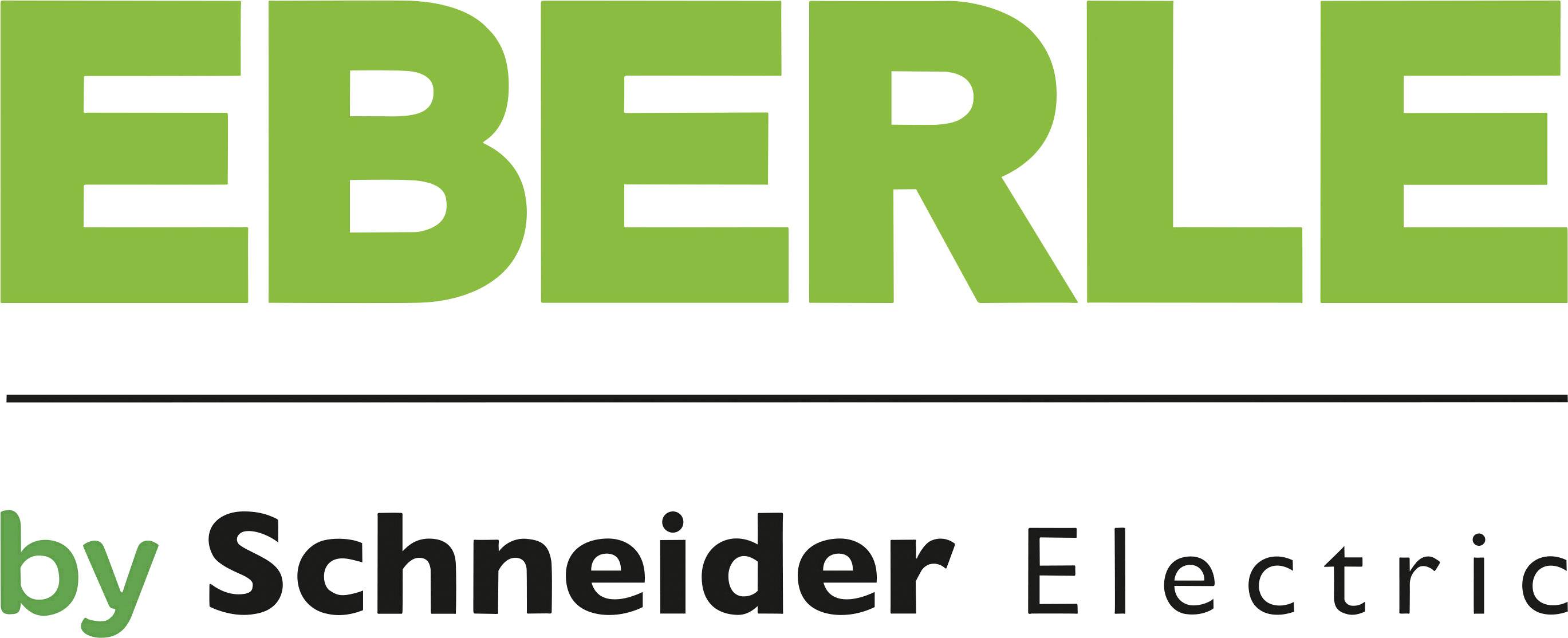 Hersteller: Eberle by Schneider Electronic