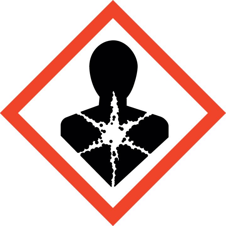 Symboldarstellung eines menschlichen Oberkörpers mit Lungen in Form von Bäumen, symbolisiert das Wachstum und die Verbindung zur Natur.