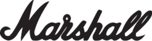 MS-2C E-Gitarrenverstärker Grau