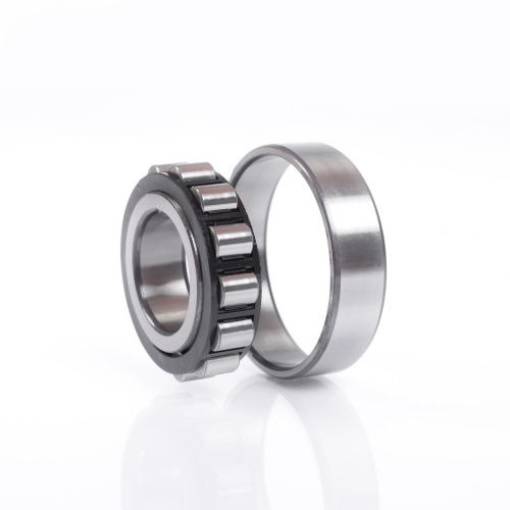 10168694 Zylinderrollenlager N1009 K.DTVSP Innen-Ø 45 mm Außen-Ø 75 mm Breite16