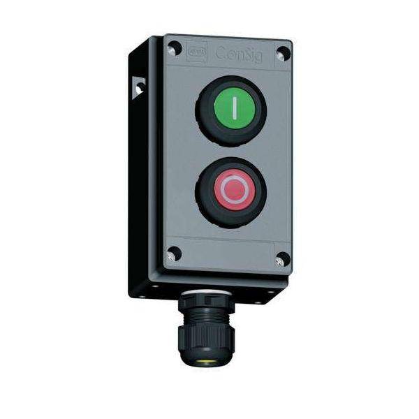 Stahl Zweifachdrucktaster 8040/1280X-01#130692