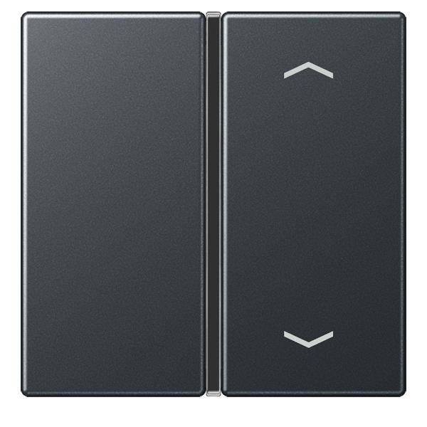 Jung Taste 1fach Auf/Ab A 401 TSAP ANM