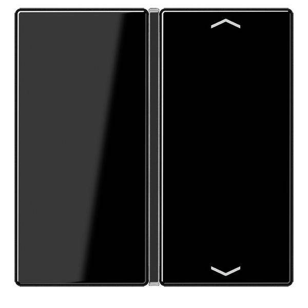 Jung Taste 1-fach sw A 401 TSAP SW