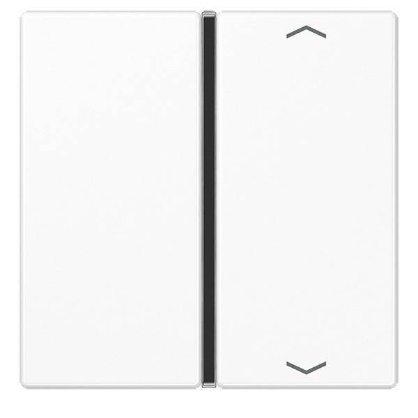 Jung Taste 1-fach aws A 401 TSAP WW