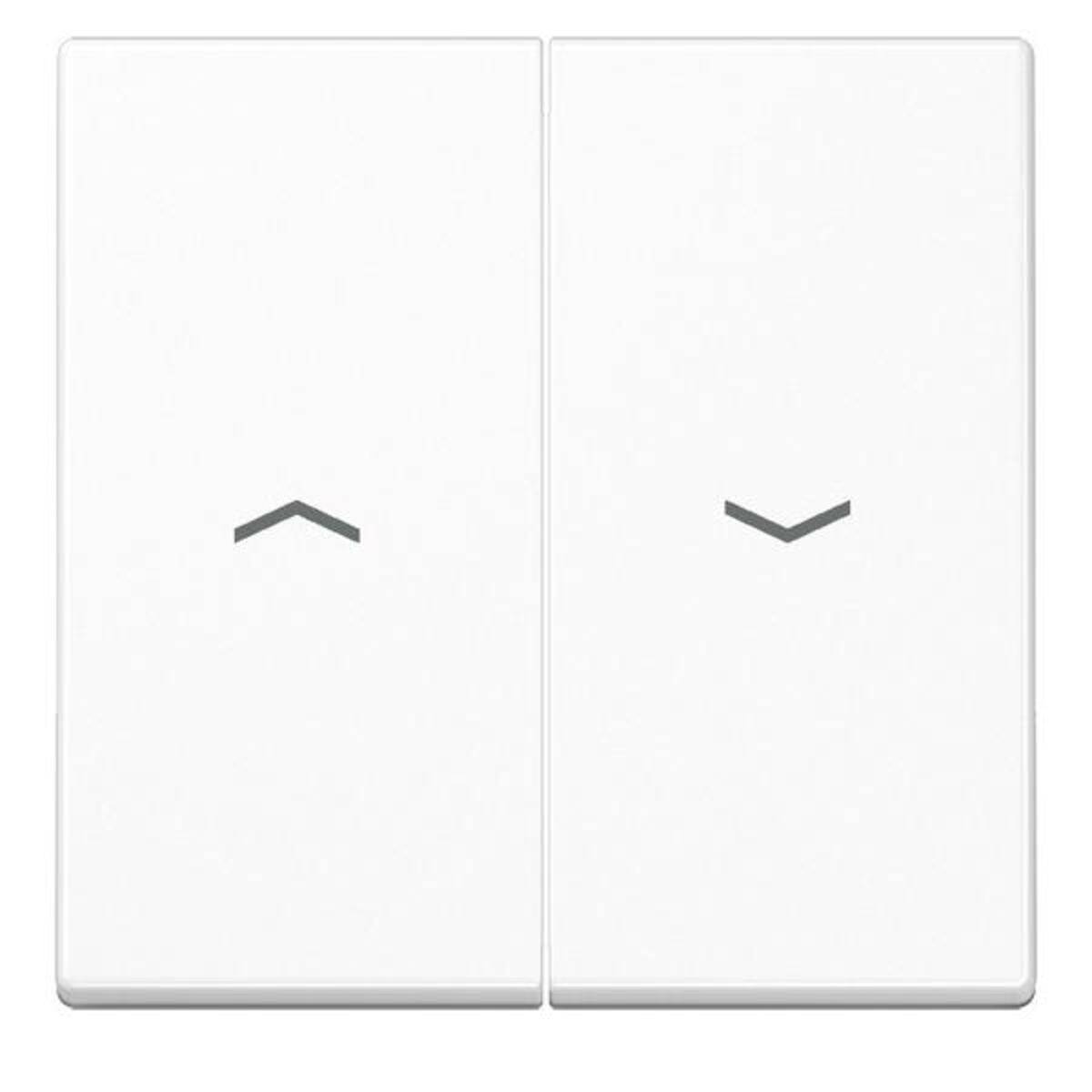 Jung Wippe Symbole aws A 595 P WW