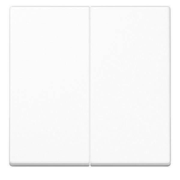 Jung Wippe 2-fach A 595 BF WW