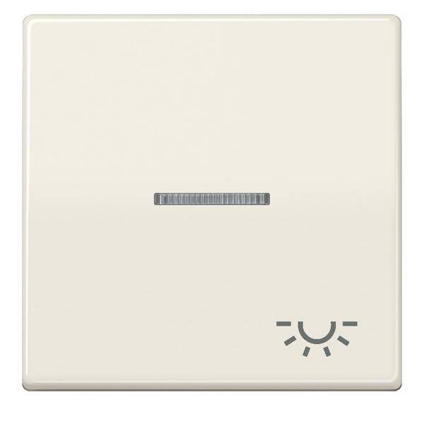 Jung Wippe Sym.LICHT/Lichtl.ws AS 591 KO5L