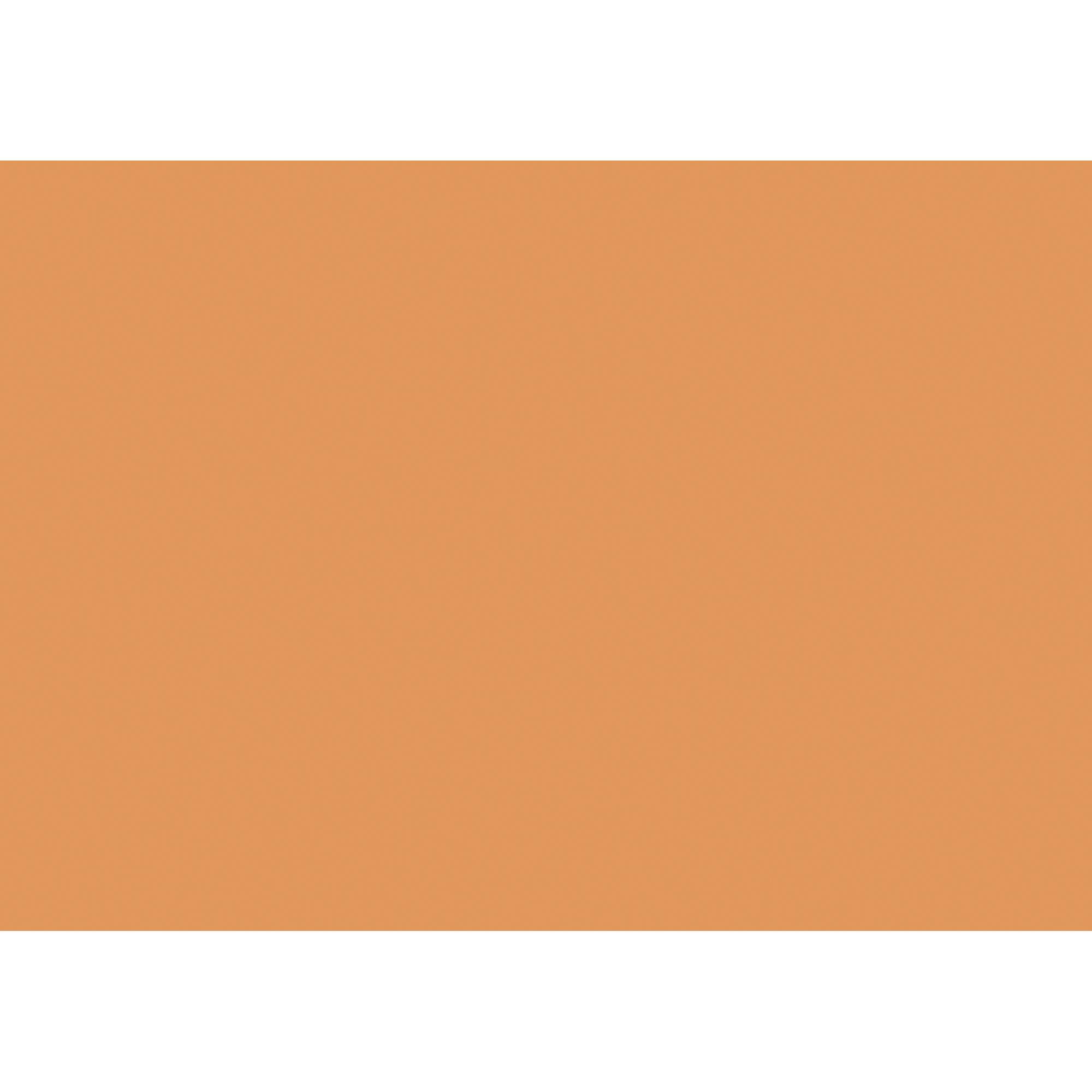 BRUNNEN Karteikarte 102240040 DIN A4 blanko or 100 St./Pack.