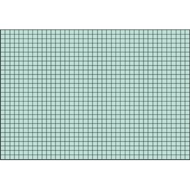 BRUNNEN Karteikarte 102250250 DIN A5 kariert gn 100 St./Pack.