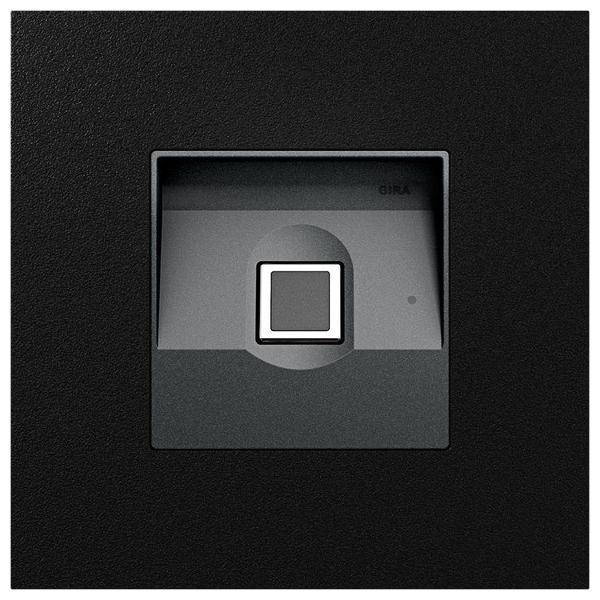 Gira KeyIessIn Fingerprintmodul 5551925