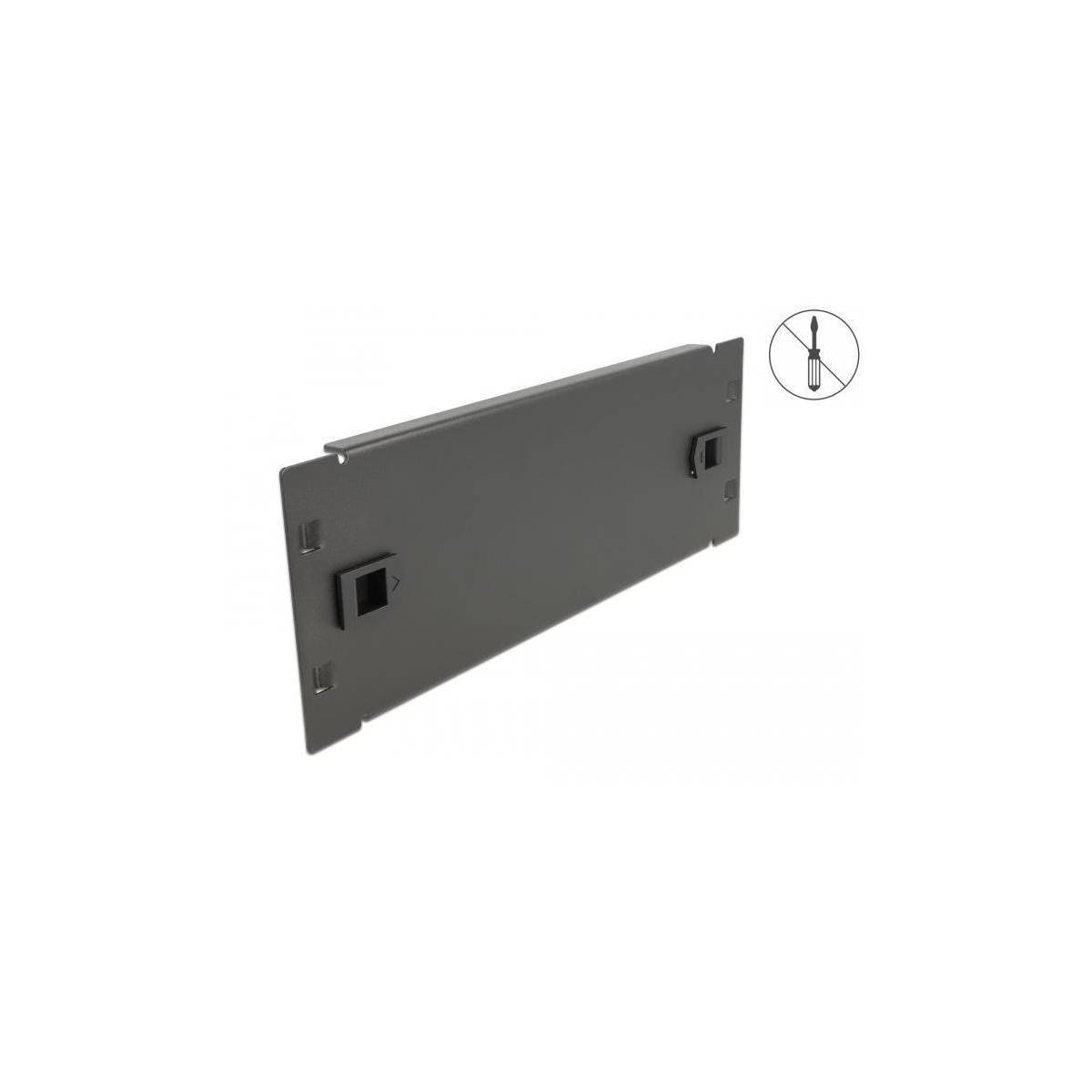 Delock Network Cabinet Blind Cover - Rack-Blindabdeckungsplatte - Schwarz - 2U -