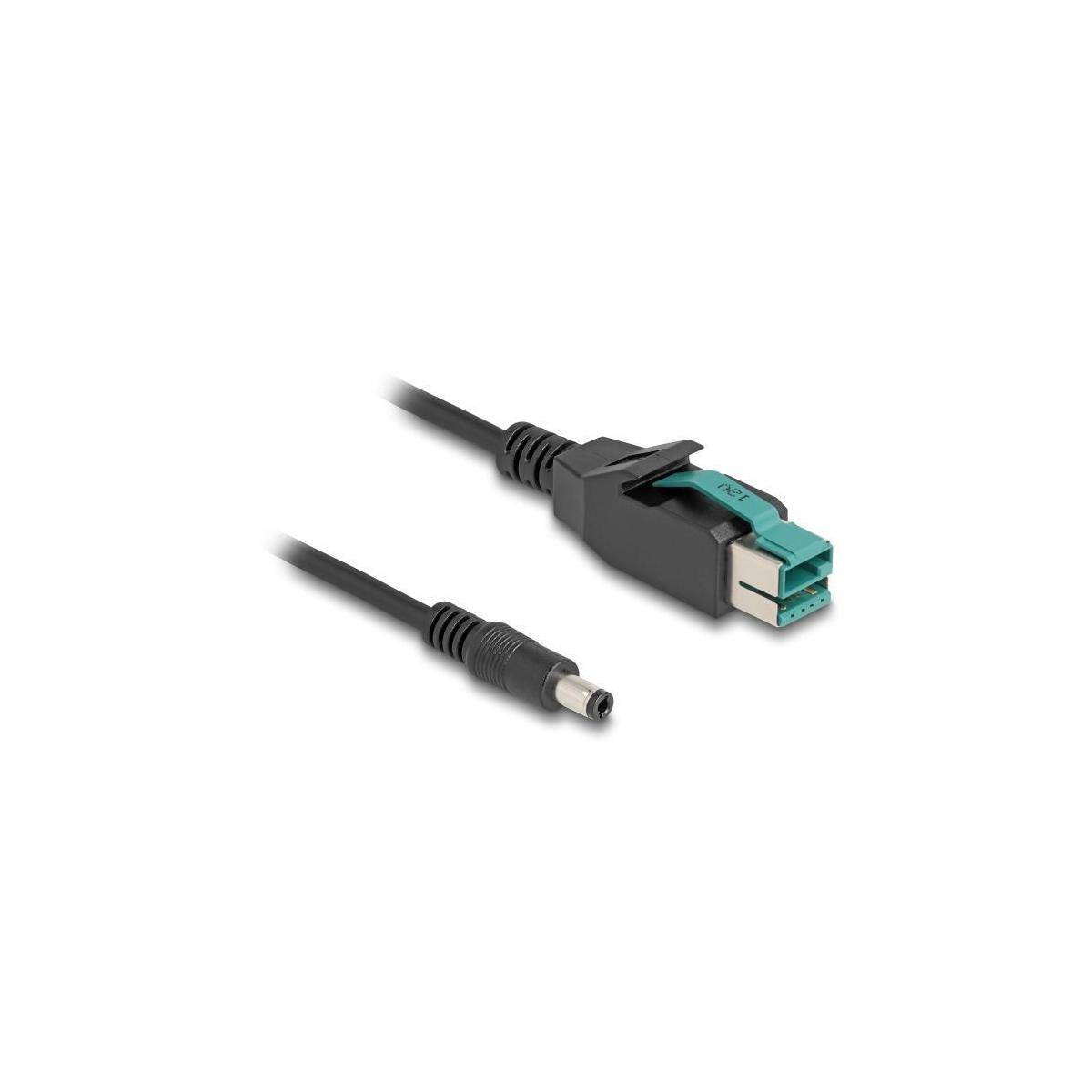Delock Powered USB-Kabel - USB PlusPower (12 V) - (M) zu Gleichstromstecker 5,5