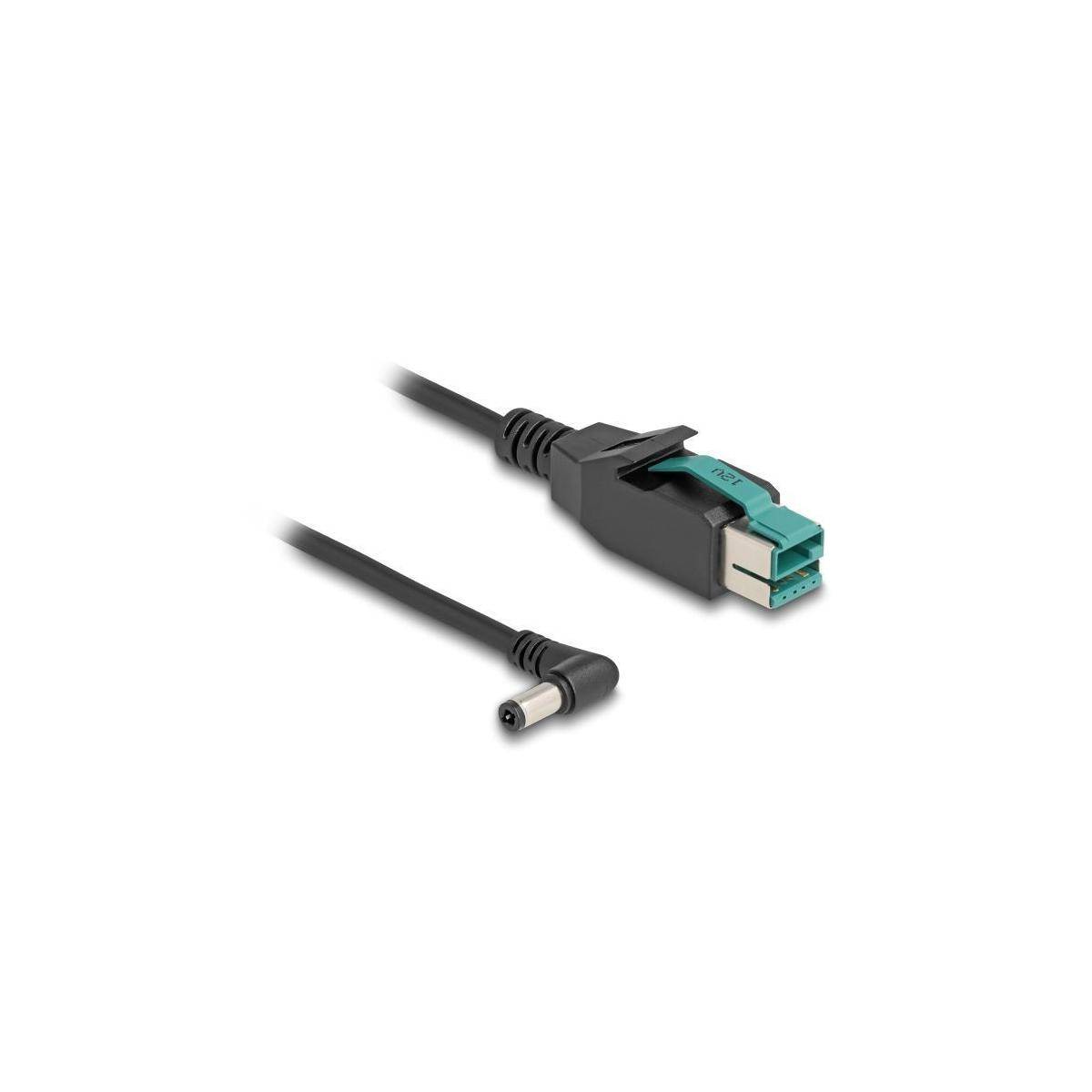 Delock Powered USB-Kabel - USB PlusPower (12 V) - (M) zu Gleichstromstecker 5,5