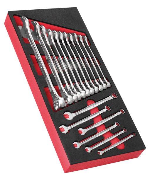 Facom MODM.440-1 Modul - Ring-Maulschluessel 440, 17-tlg