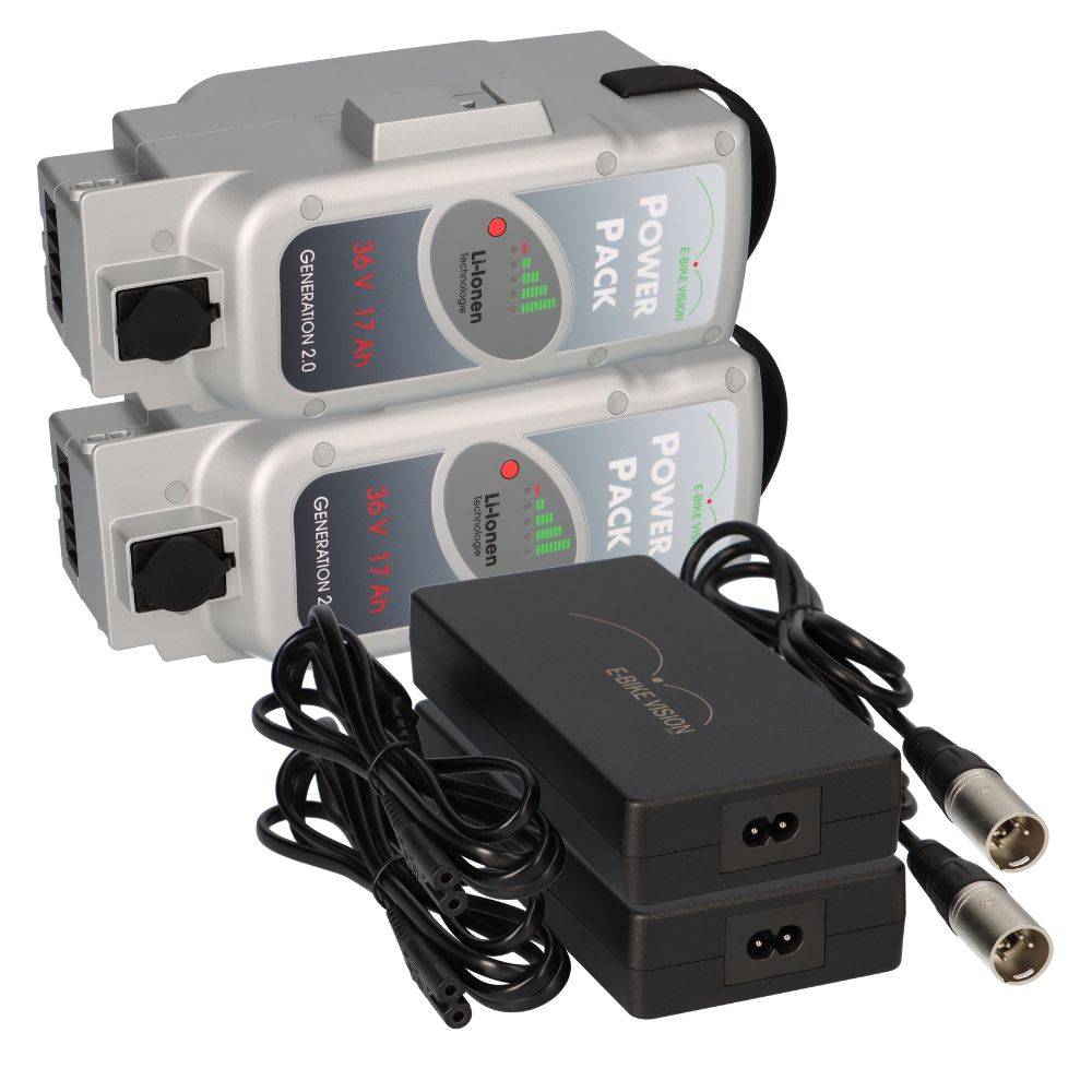 SET E-BIKE VISION Power Pack Ersatzakkus für Panasonic Deluxe-Antriebssystem 2x 36V 17Ah 612 Wh + 2x 4A Lader