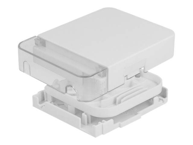 Delock - Glasfaser-Anschlussdose - geeignet für Wandmontage