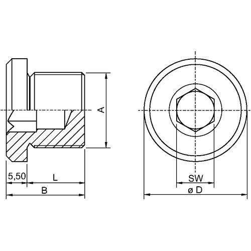 Stahl Verschlussstopfen 253041