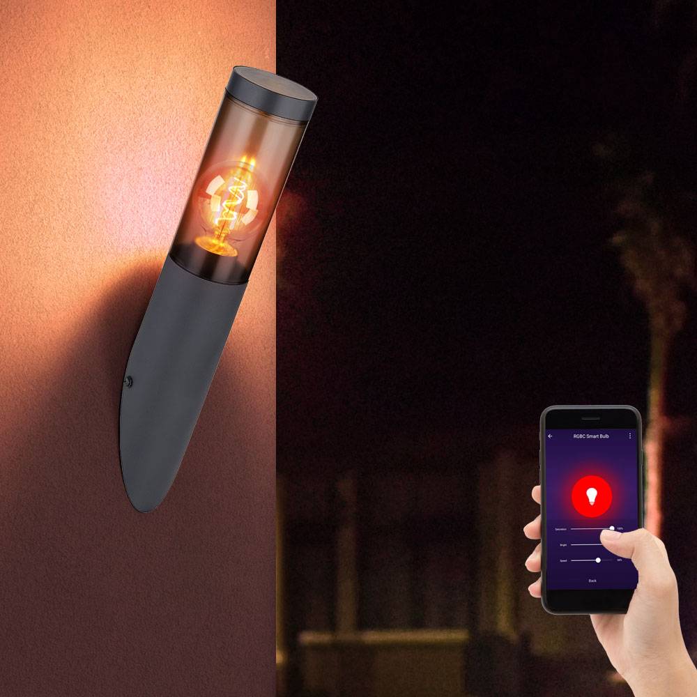 Außenwandlampe Wandleuchte Edelstahl Wandleuchte Fackel Aussen Gartenlampe, anthrazit rauch, App Steuerung CCT, Smart RGB LED 8,5W 806Lm, DxH 7,6x40