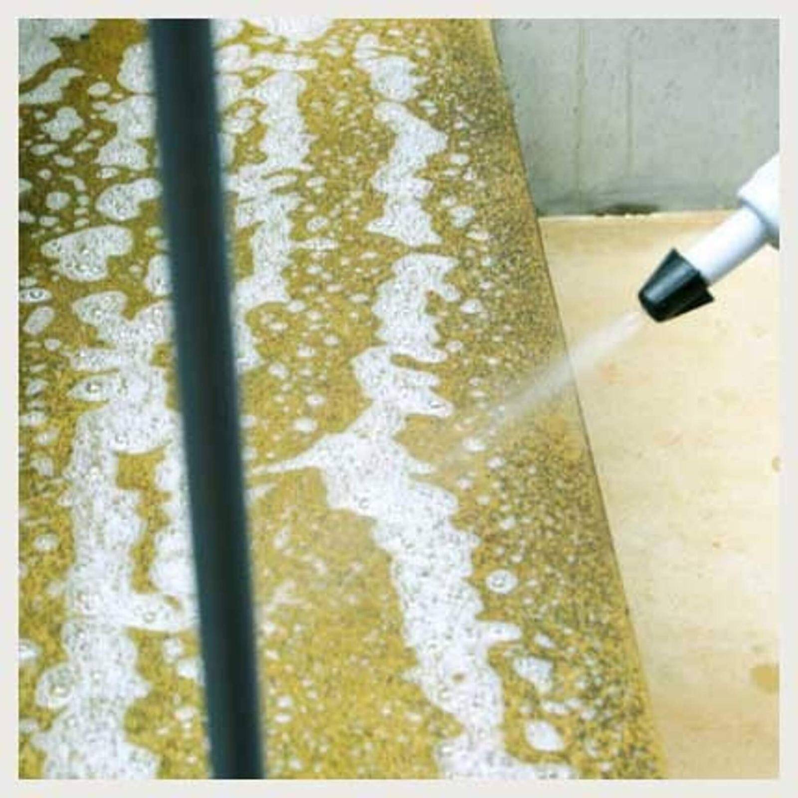 stein-reiniger.de Grünbelag Entferner Konzentrat 1L