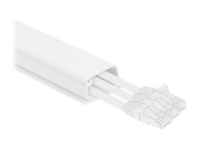 Delock - Kabelkanal mit Abdeckung - 1 m - weiß