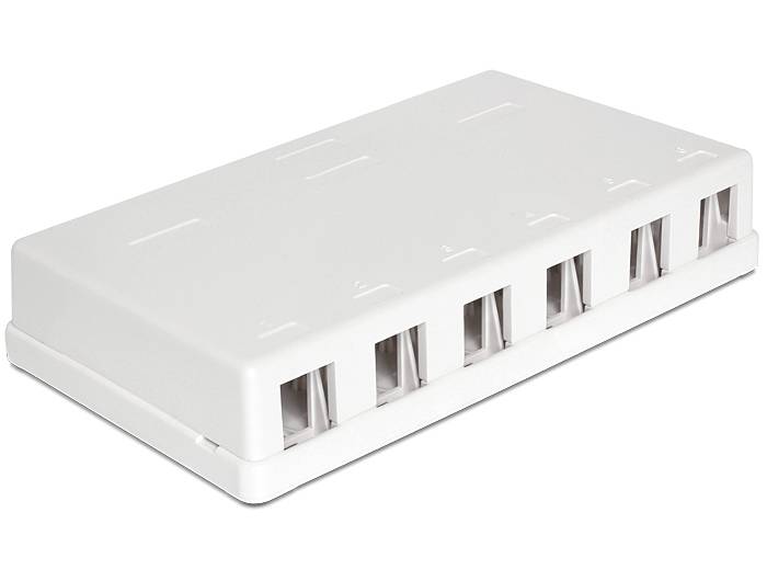DeLOCK Keystone Surface Mounted Box - Gehäuse mit modularen Einsätzen