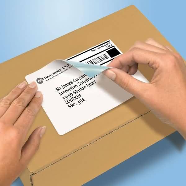 Avery-Zweckform L7165-100 Adress-Etiketten 1 St.