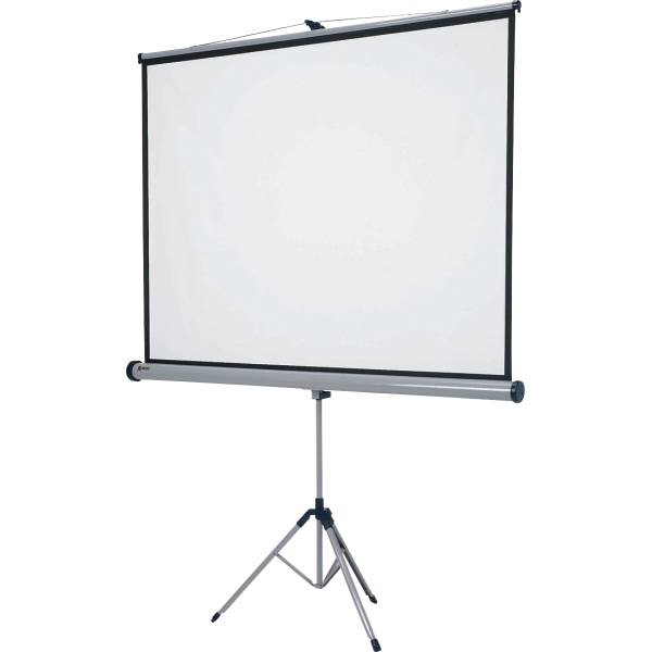 Stativ-Leinwand 200x151,3cm grau