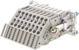 Einsatz Weidmüller Inhalt: 10 St.