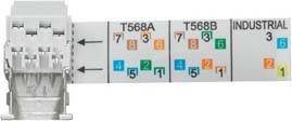 Weidmüller 1962730000 Sensor-/Aktor-Steckverbinder, unkonfektioniert RJ45 Steckereinsatz 10St.