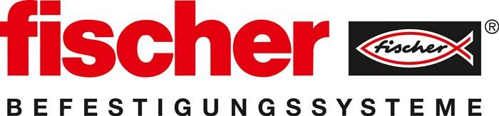 Fischer 12 mm 10 St.