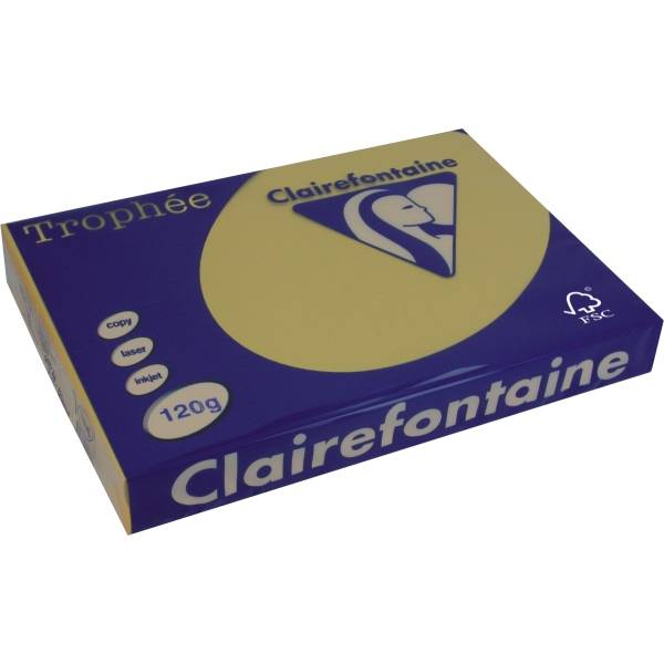 Kopierpapier Trophee Pastell A4 120g/qm goldgelb VE=250 Blatt