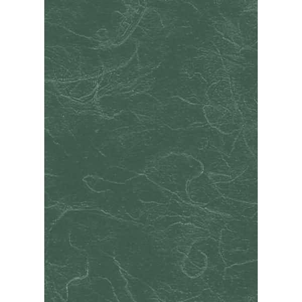 Strohseide 70x150cm auf Rolle 25g/qm dunkelgrün