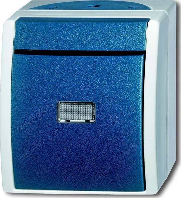 Busch-Jaeger Taster 2621 W-53-206