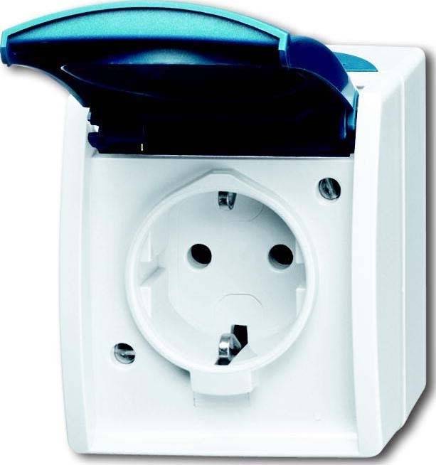 Busch-Jaeger Schuko-Steckdose gr/blgn 20 EW-53